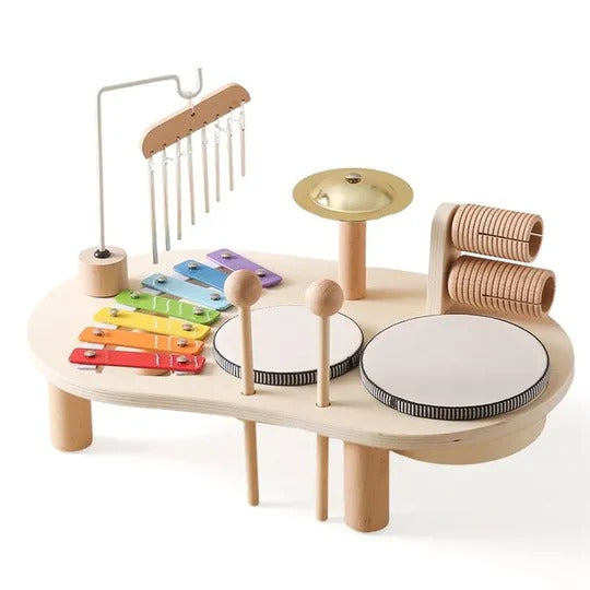 Baby Musical Instrument Toy Set