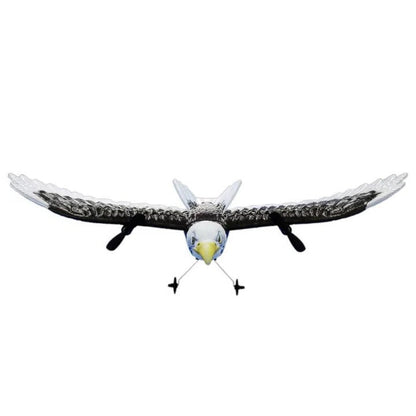 Remote Control Soaring Eagle Toy Plane