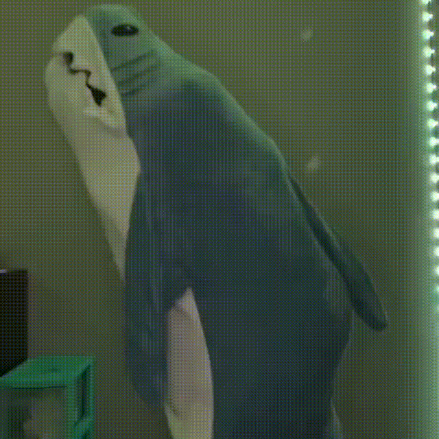 Cozy Fuzzy Shark Blanket