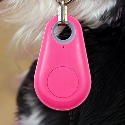 Accurate GPS Pet Tracker for Dogs and Cats