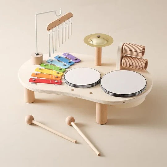 Baby Musical Instrument Toy Set
