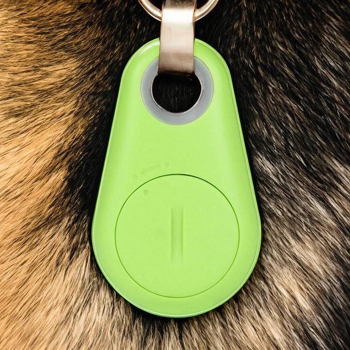 Accurate GPS Pet Tracker for Dogs and Cats