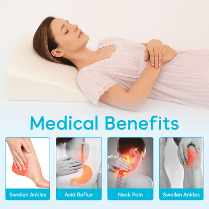 Contour Support Pillow for Back Pain Relief