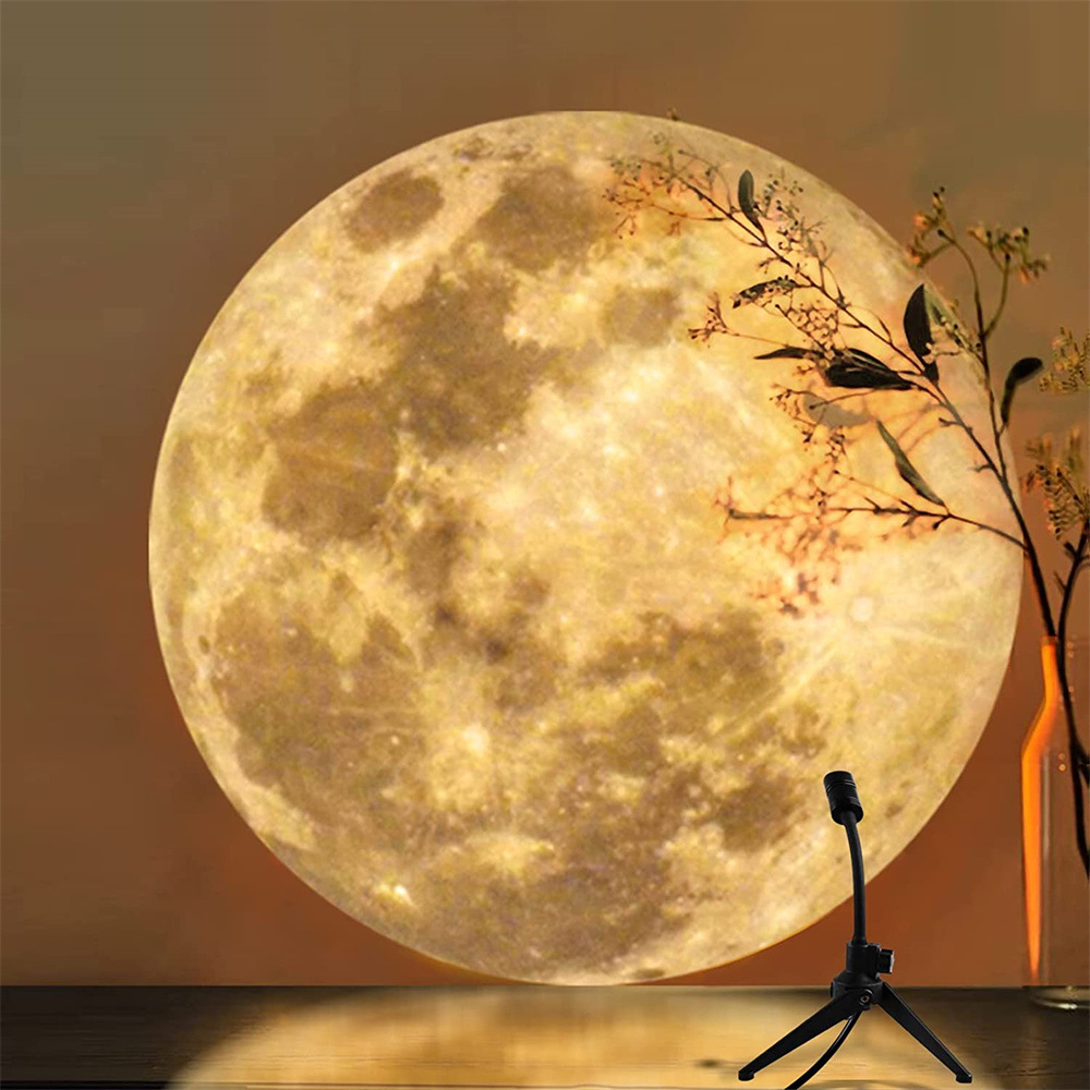 Big Globe Moon Table Lamp