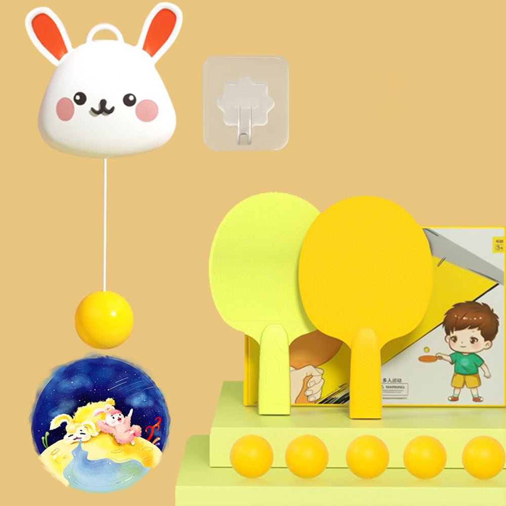 Fun Family Mini Table Tennis Kit
