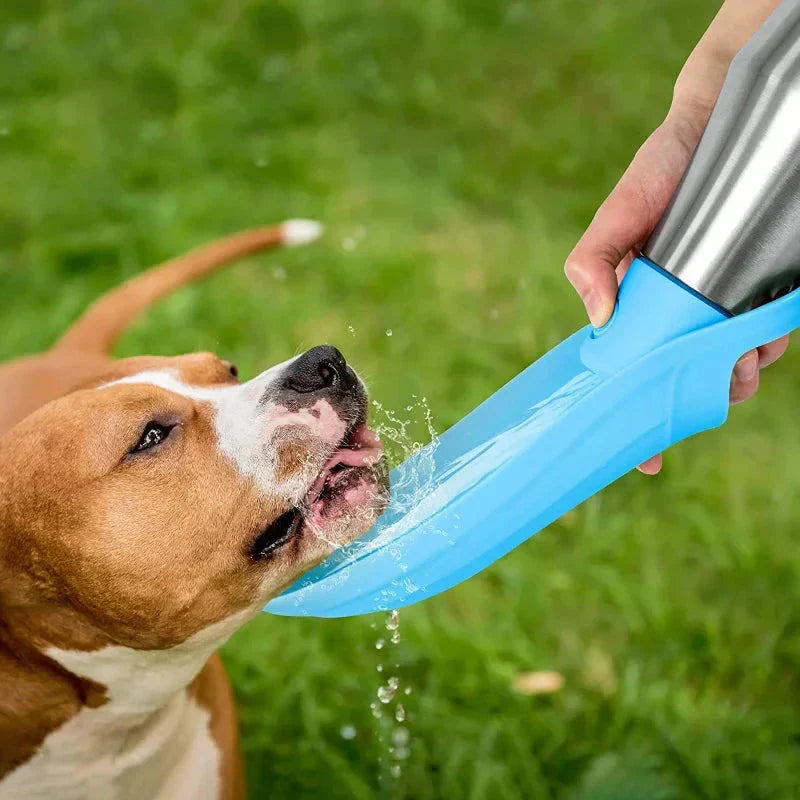 Portable Dog Water Bottle | Durable Stainless Steel