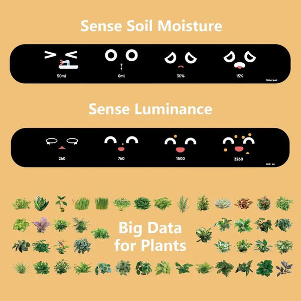 Intelligent Self Watering Planter Pot