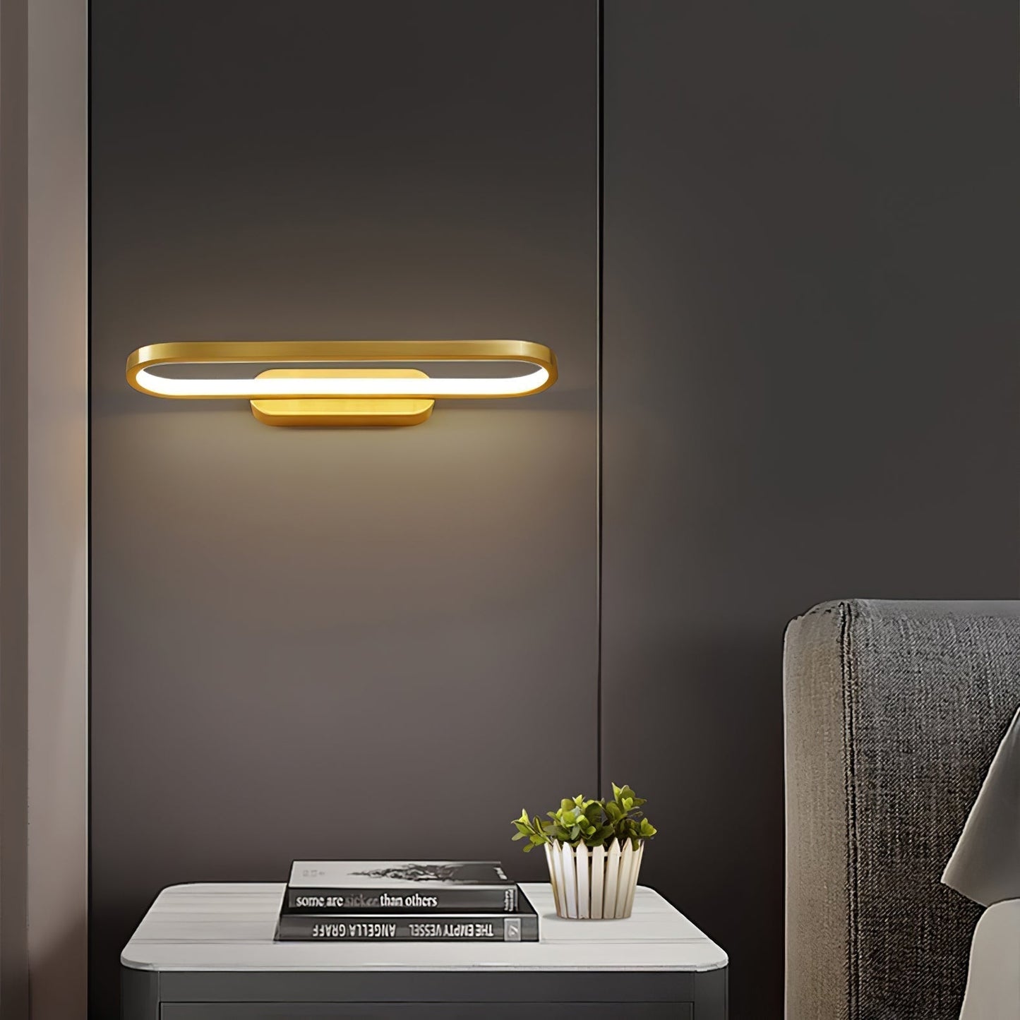 Contemporary LED Mount Light