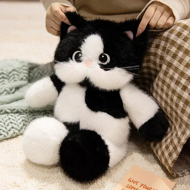 Cuddly Large Eyed Cat Soft Plush Toy