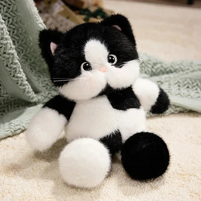 Cuddly Large Eyed Cat Soft Plush Toy