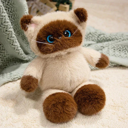 Cuddly Large Eyed Cat Soft Plush Toy