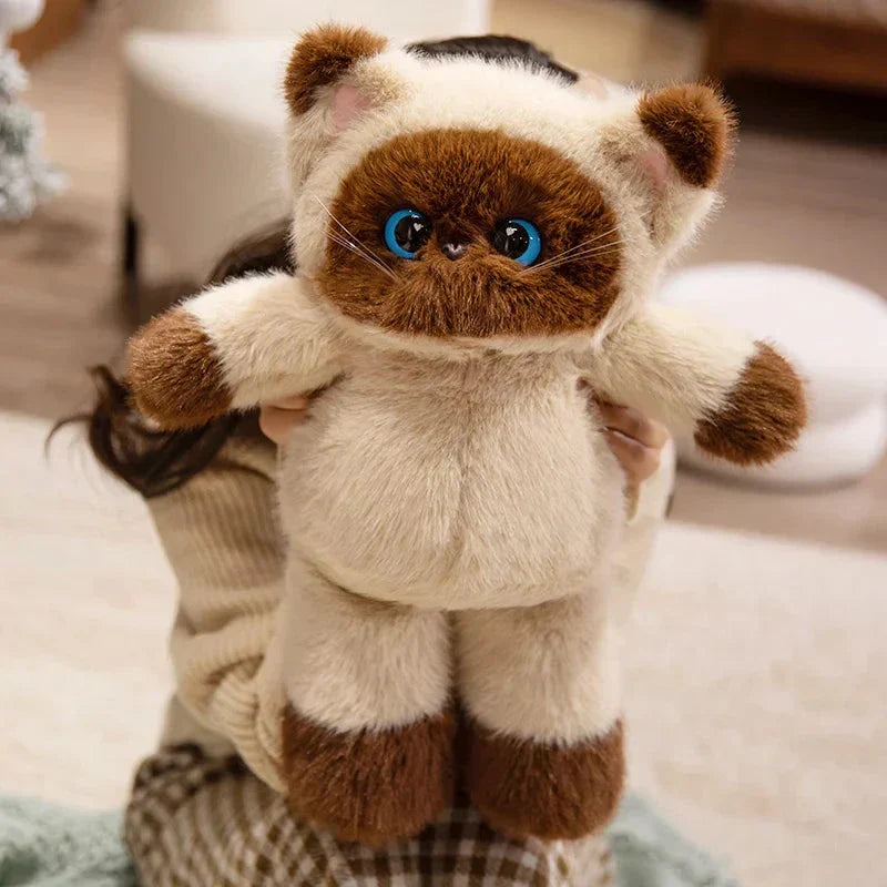 Cuddly Large Eyed Cat Soft Plush Toy