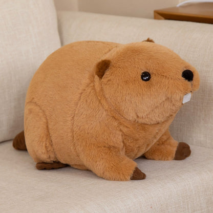 Snugly Plush Teddy Bear Stuffed Animal