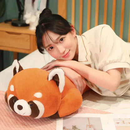 Cuddly Raccoon Soft Plush Toys