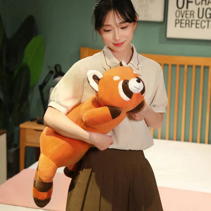 Cuddly Raccoon Soft Plush Toys