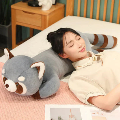 Cuddly Raccoon Soft Plush Toys