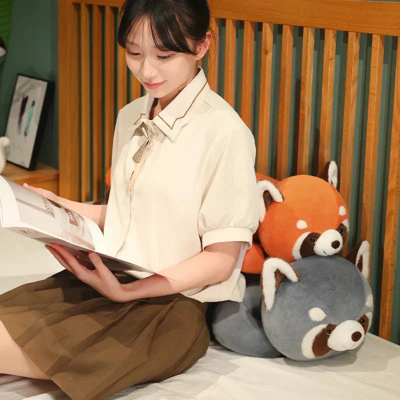 Cuddly Raccoon Soft Plush Toys