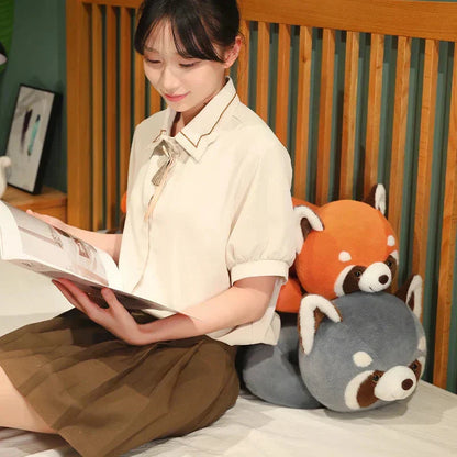 Cuddly Raccoon Soft Plush Toys