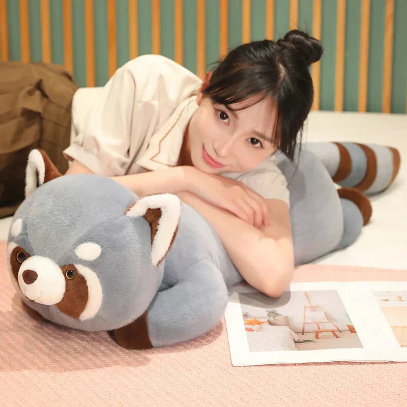 Cuddly Raccoon Soft Plush Toys