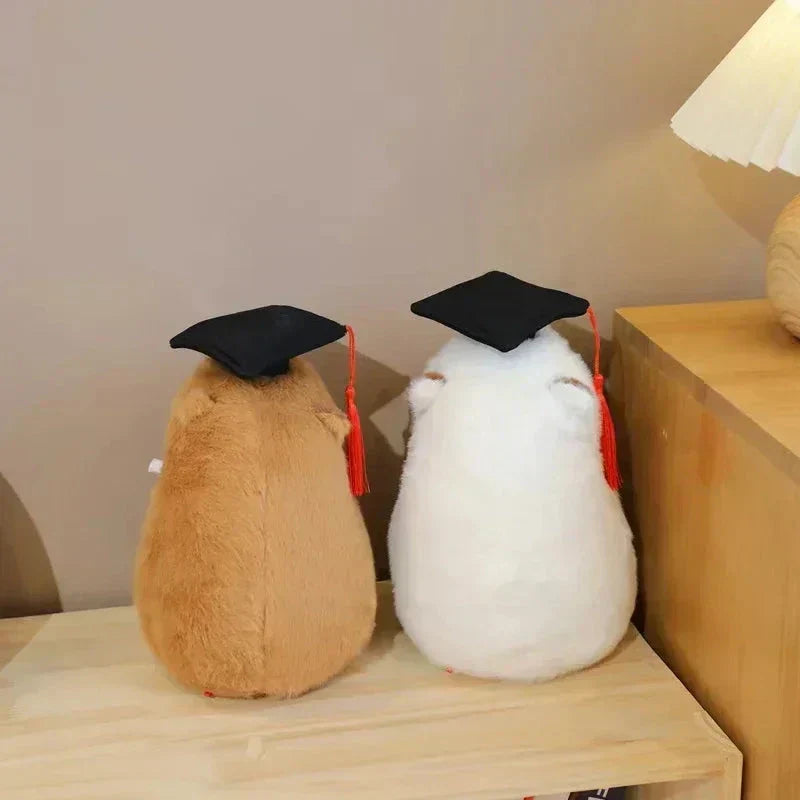 Cute Congrats Teddy Bears
