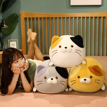 Funny Cat Crew
