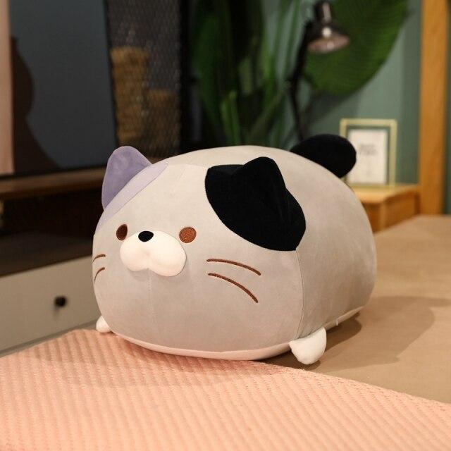 Funny Cat Crew