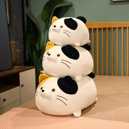Funny Cat Crew