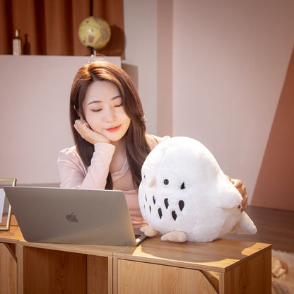 Cute Large Eye Owl Plush Toys