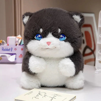 Adorable Fat Grey Kitten Soft Plush Toys - Luxicro