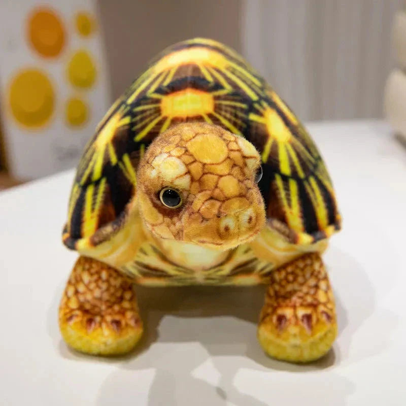 Cute Detailed Turtle Plush Toy