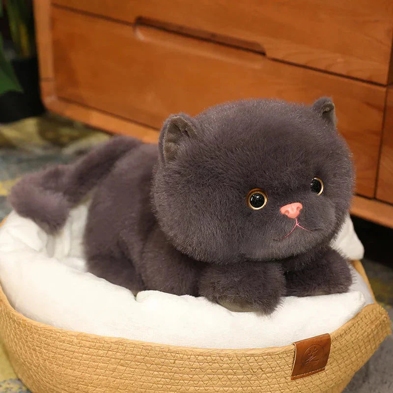 Soft Cuddly Kitten Plush Toys