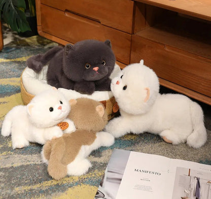 Soft Cuddly Kitten Plush Toys