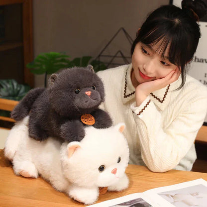 Soft Cuddly Kitten Plush Toys