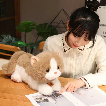 Soft Cuddly Kitten Plush Toys