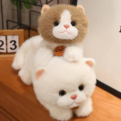 Soft Cuddly Kitten Plush Toys
