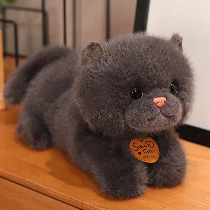 Soft Cuddly Kitten Plush Toys