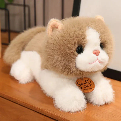 Adorable Cat Plush Toys