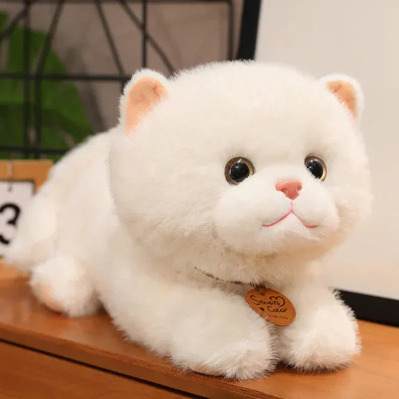 Soft Cuddly Kitten Plush Toys