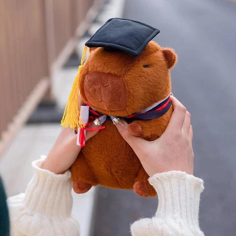 Fun Graduation Cuddly Plush Toy
