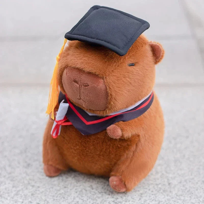 Fun Graduation Cuddly Plush Toy