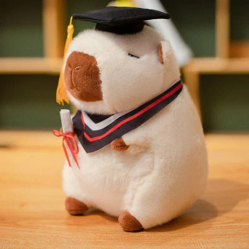 Fun Graduation Cuddly Plush Toy