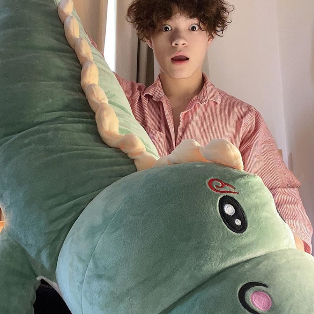 Cuddly Dinosaur Stuffed Animal Toy