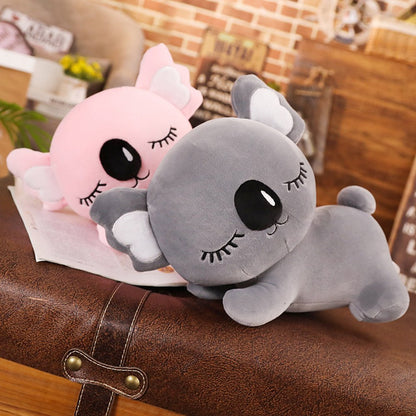 Cute Joey and Kloe Koala Fans