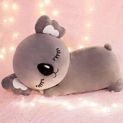 Cute Joey and Kloe Koala Fans