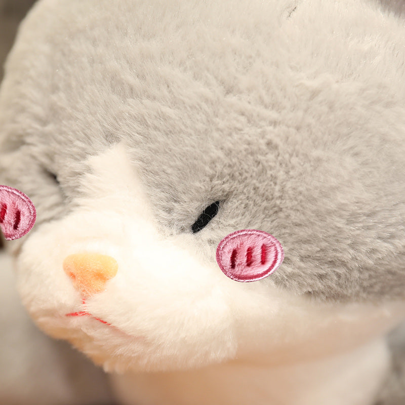 Adorable Shark Kitten Soft Toy - Luxicro