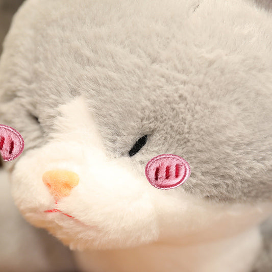 Cute Grey Shark Cat Soft Plush Toy - Luxicro