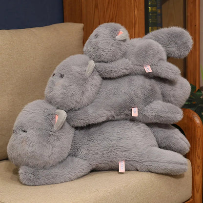 Cute Plush Sleeping Kitten