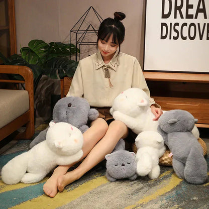Cute Plush Sleeping Kitten