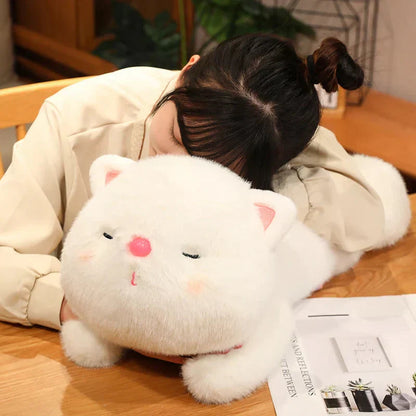 Cute Plush Sleeping Kitten