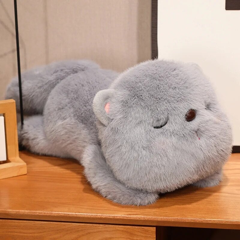 Cute Plush Sleeping Kitten